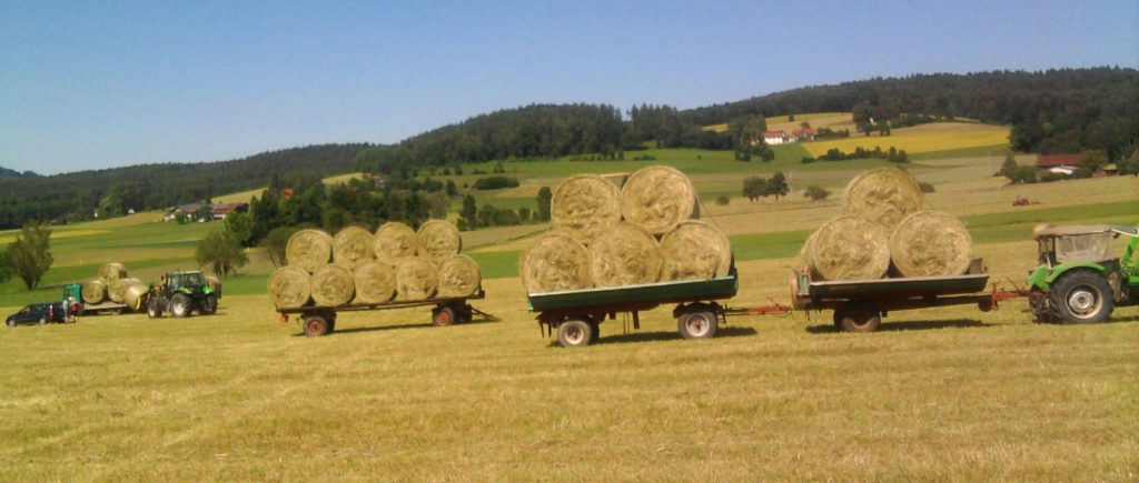 Bayerischer Wald Urlaub auf dem Bauernhof Bayerischer Wald Urlaub auf dem Bauernhof